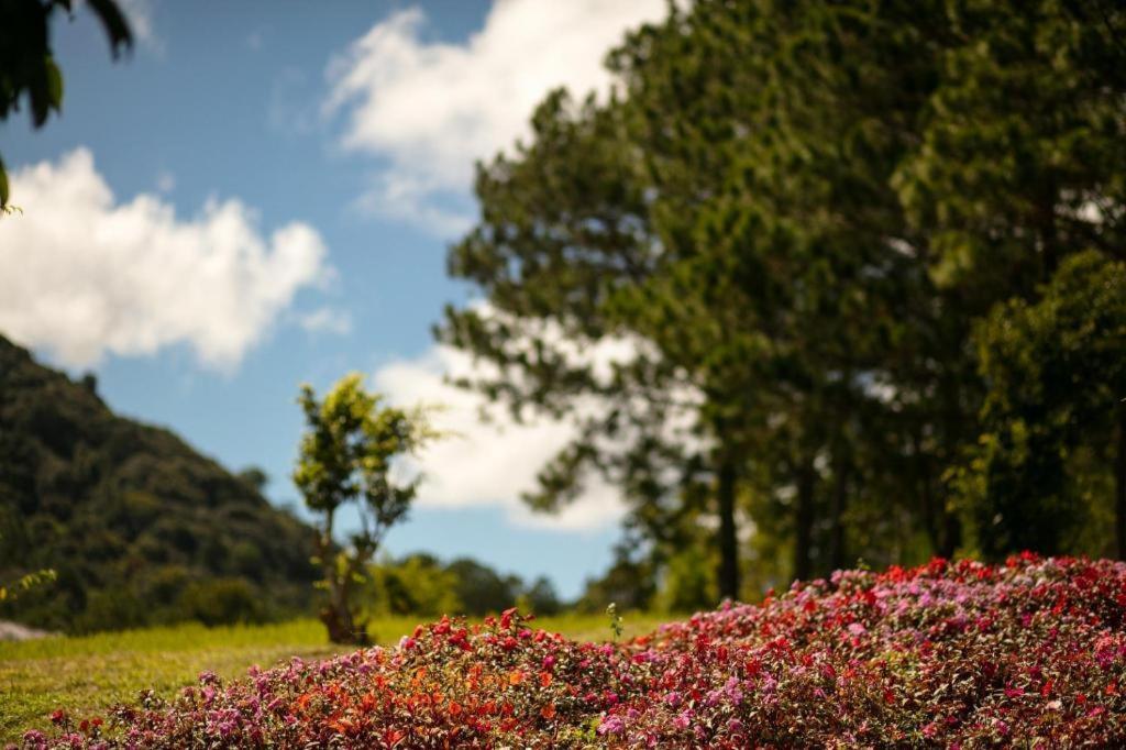 Sam Tuyen Lam Resort Dalat Eksteriør bilde
