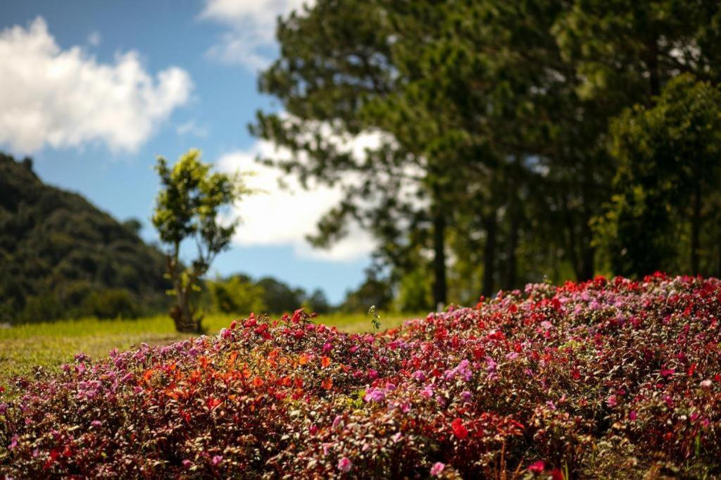 Sam Tuyen Lam Resort Dalat Eksteriør bilde